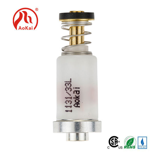 Valve Magnetic Security OVEN